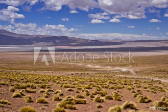 Bild på Deserto di DalBolivia